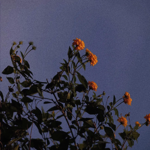 黑巨人黑人XXX㐅乄
